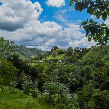 Hostal Rural La Montana Alquiyapura Σαλέντο Εξωτερικό φωτογραφία