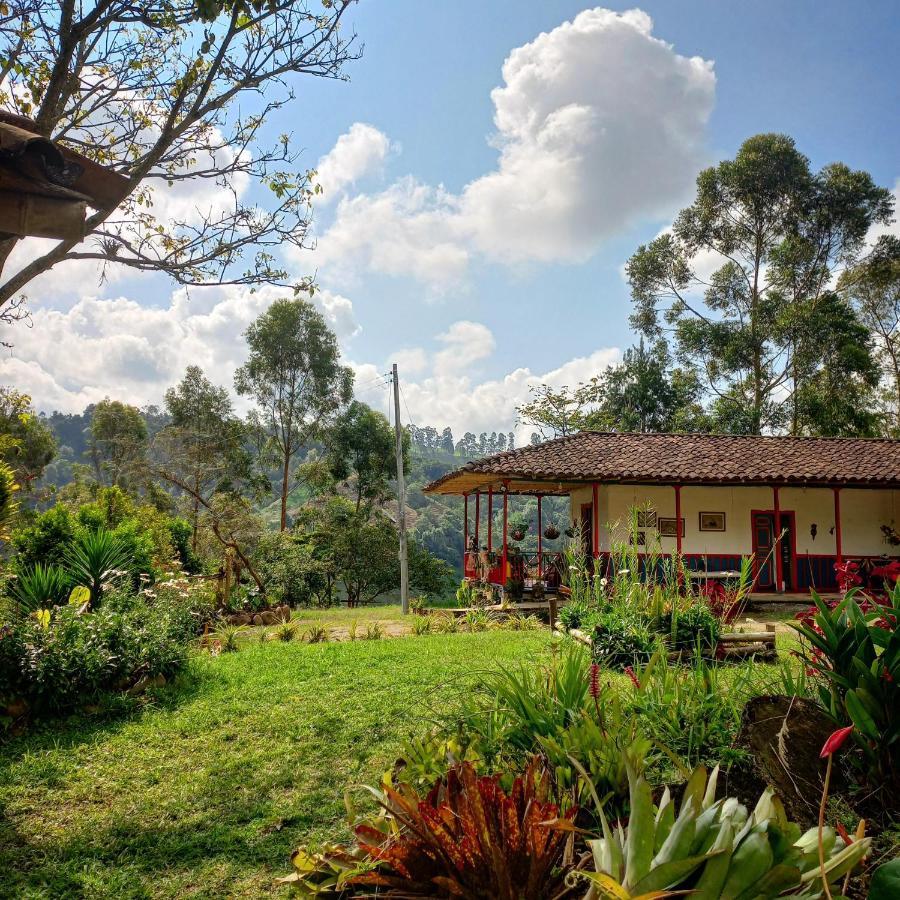 Hostal Rural La Montana Alquiyapura Σαλέντο Εξωτερικό φωτογραφία